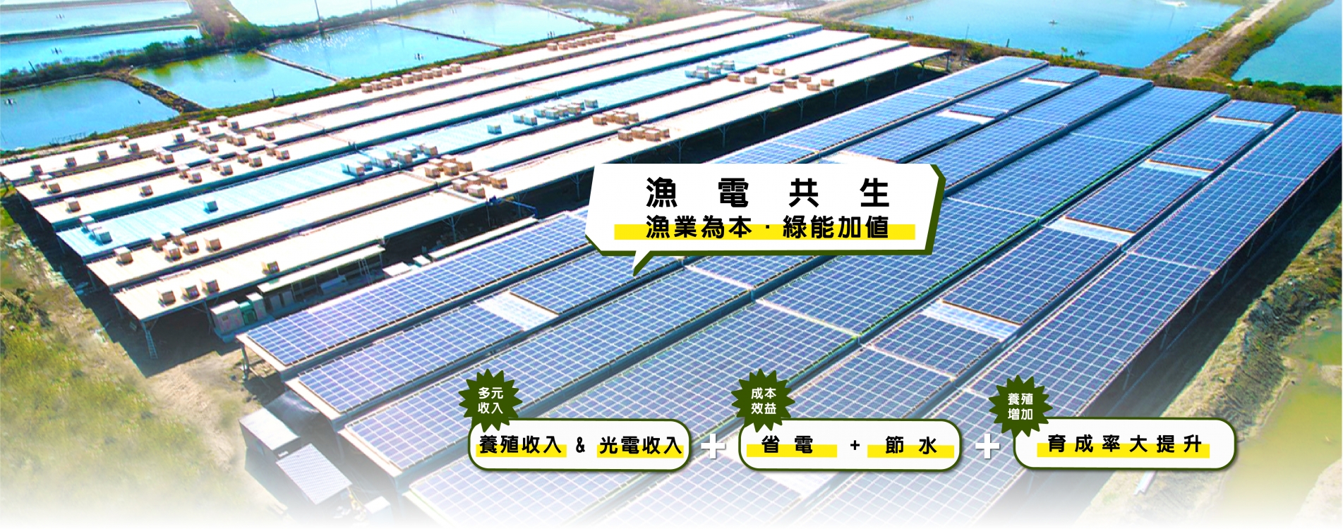 和合控股-綠能漁電共生完整服務.jpg 和合控股-綠能漁電共生完整服務.jpg